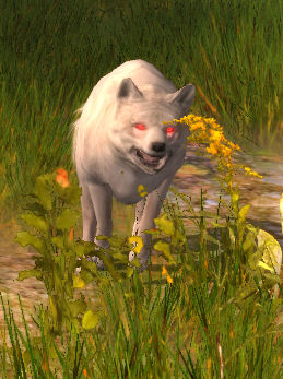 Blutwolf.jpg