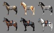 Reittiere 1.jpg