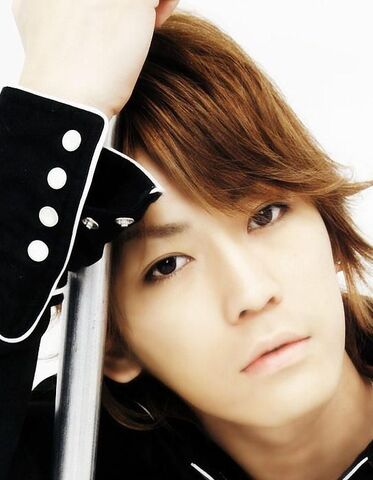 Archivo:Kame.jpg