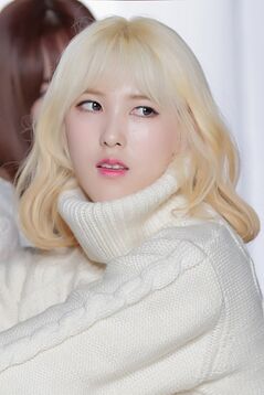 Ziu a-daily 815114.jpg