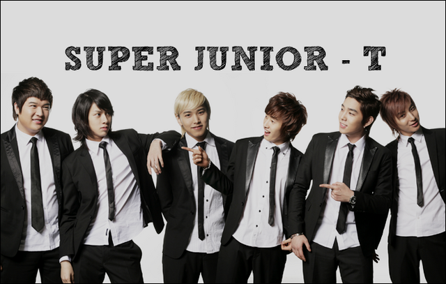 Archivo:SJTWikiBanner.png