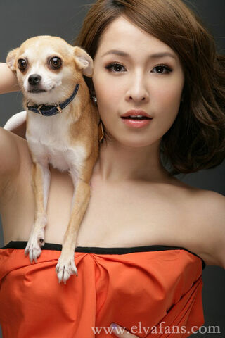 Archivo:Elva Hsiao5.jpg