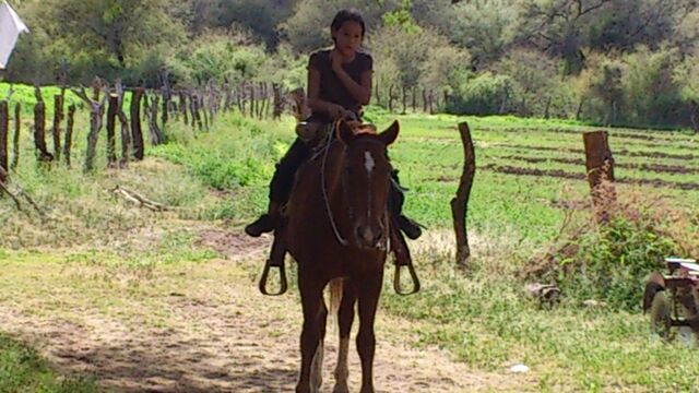 Archivo:DSC 0957.jpg