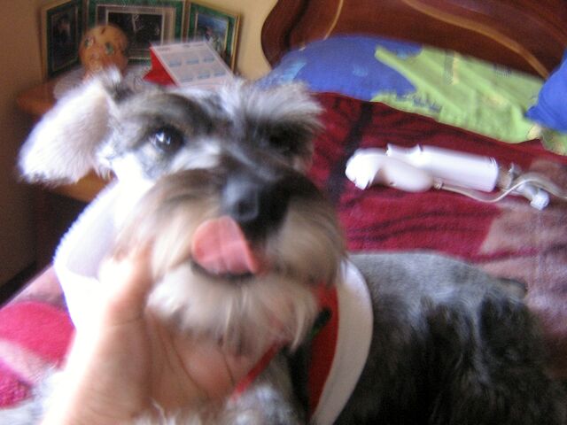 Archivo:IMG 1067.jpg
