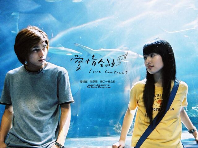 Archivo:Love contract.jpg