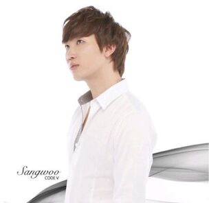 20110414 codev2.jpg
