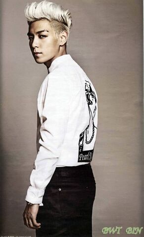 Archivo:48137-big-bang-top.jpg