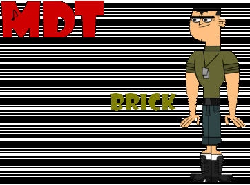 Fișier:Brick - Promo 2.PNG