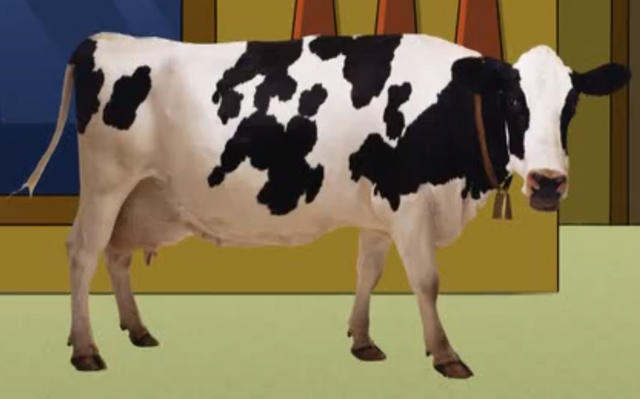 File:Live Action Cow.png