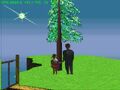 Thumbnail for version as of 23:26, February 5, 2012