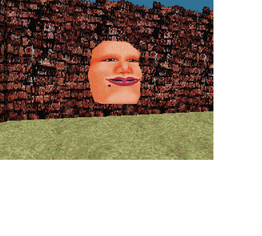 File:Wall Head.png