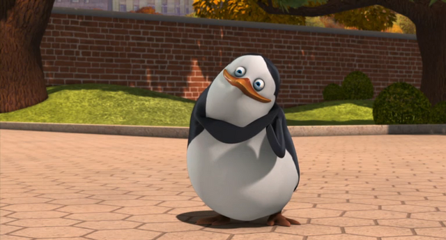 File:Private3.png