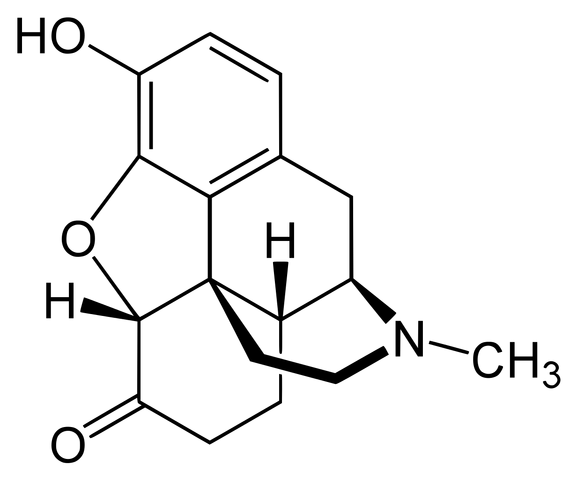 Datei:Hydromorphon.png
