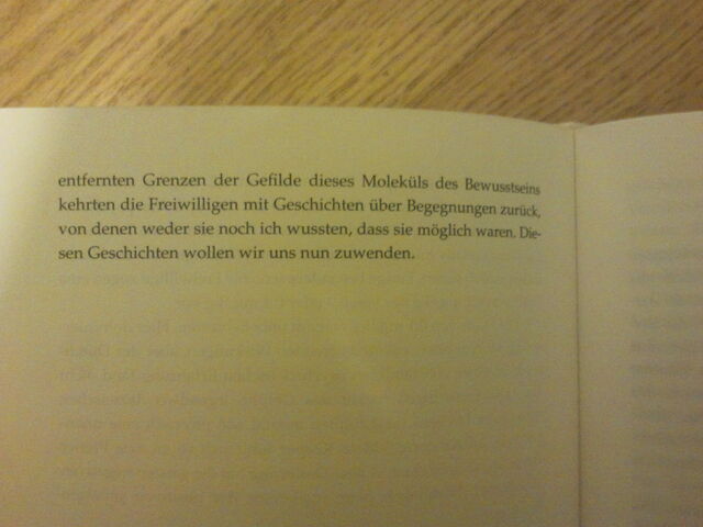 Datei:UnterDemEinflussVonDmt12.jpg