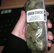 Medical Marijuana.jpg