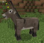 Donkey