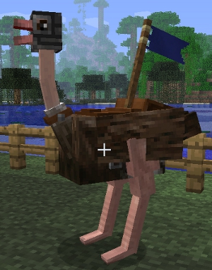 File:Ostrich.jpg