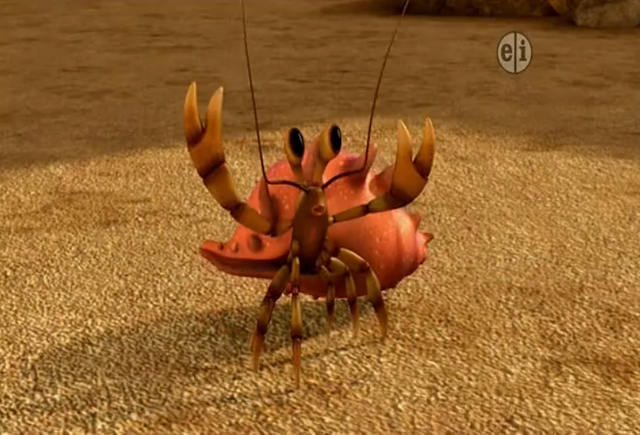File:Hennry the Hermit Crab.png