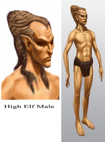 File:Altmer Male.jpg