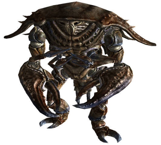 File:1254245102597.png