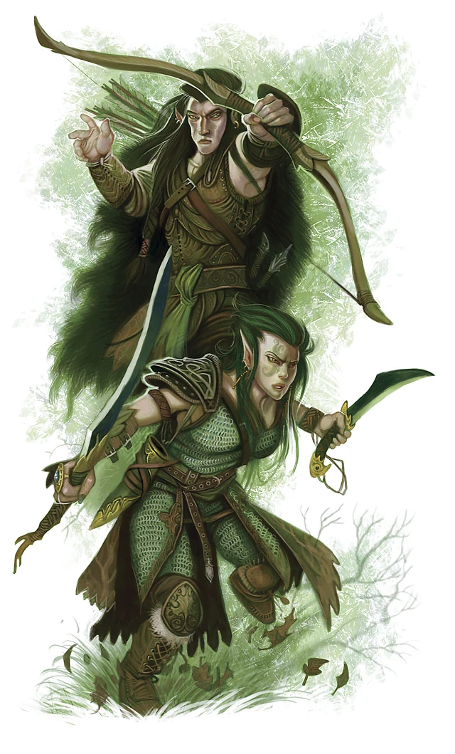 Elf, Variant (4e Race) Dungeons and Dragons Wiki Fandom powered by