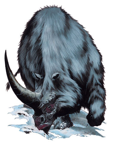 File:Dire Rhinoceros.jpg