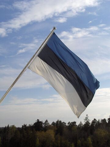 File:Estonian flag.jpg