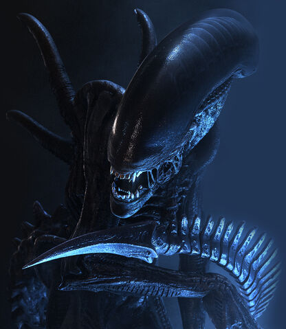 File:Xenomorph.jpg