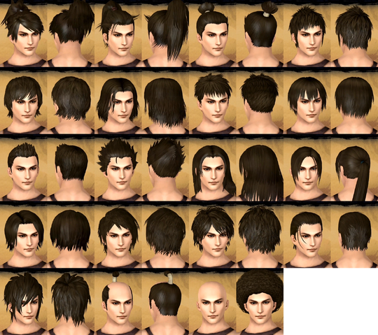 File:Male Hairstyles (TKD).png