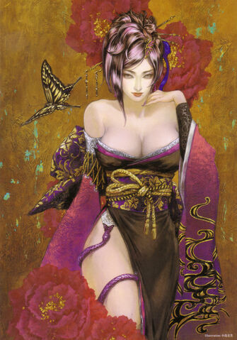 File:Nohime-sw3-art.jpg