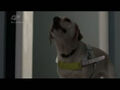 Thumbnail for version as of 02:25, December 8, 2012