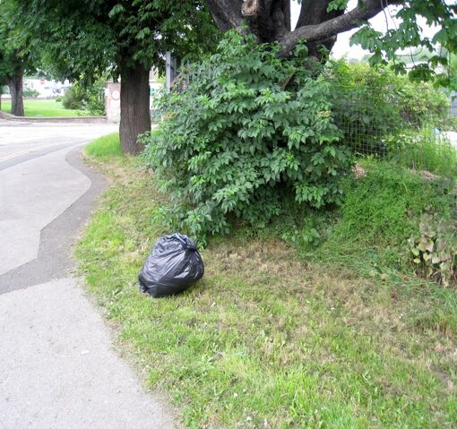 File:2009-06-27 Green Lane(004).jpg