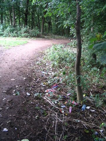 File:2008-09-16.Before.jpg