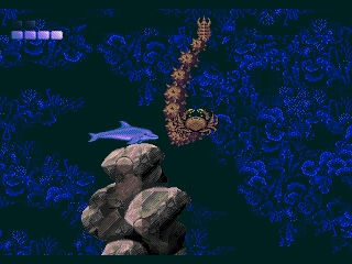Ecco2beta005