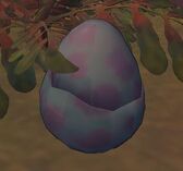 Bird Egg