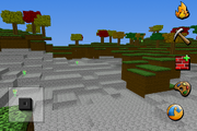 Image (1)