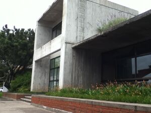 IMG 2018.jpg