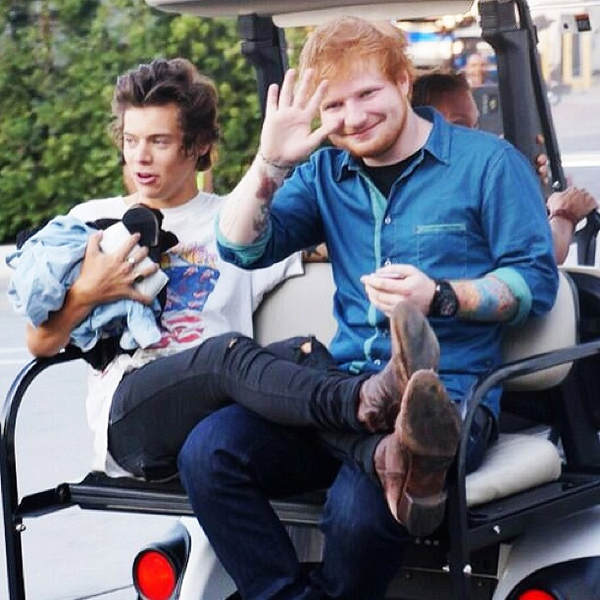 Image - Harry-styles-und-ed-sheeran-sind-gute-freunde ...