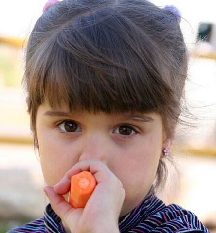 File:IMG 0023.jpg