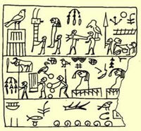 Djer Human Sacrifice
