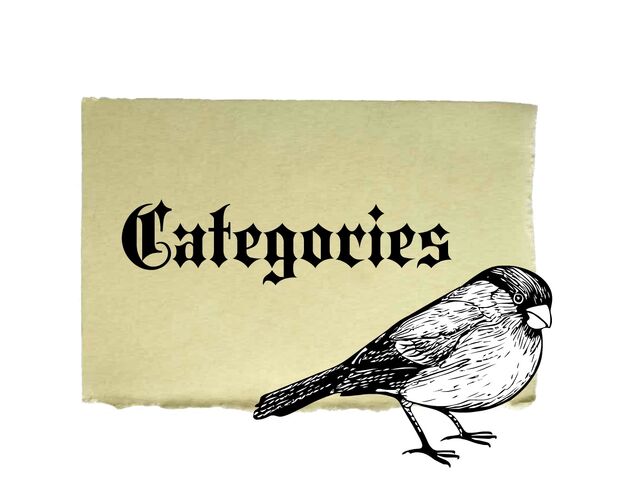 File:Cat.jpg