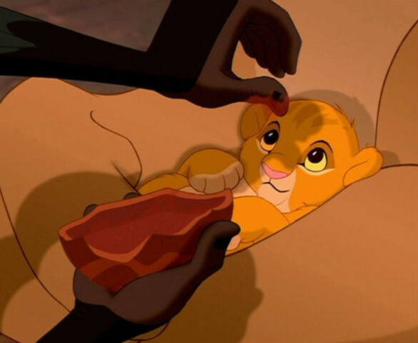 Archivo:Babysimba.jpg
