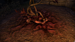 The Hidden Harvest 6