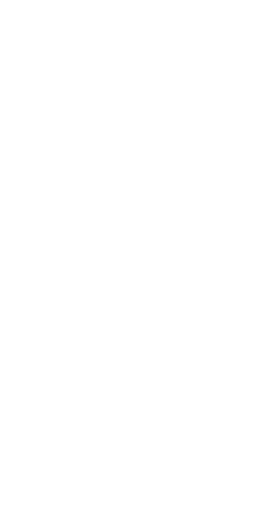 File:Dwemeris L.png