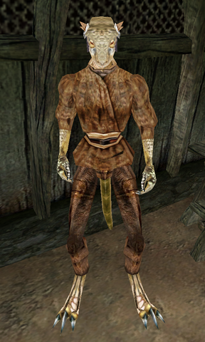 File:Okur.png