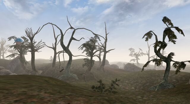 File:West Gash.jpg