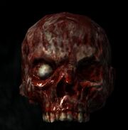 Habd's remains.jpg