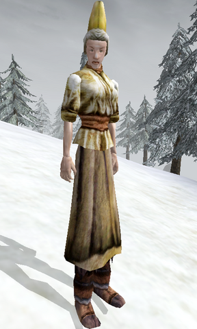 File:Kjolver - Morrowind.png