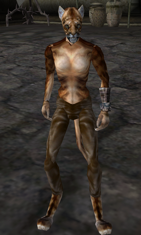 File:Ahnisa.png