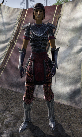 File:Fighters Guild Recruit.png